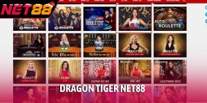 Dragon Tiger NET88
