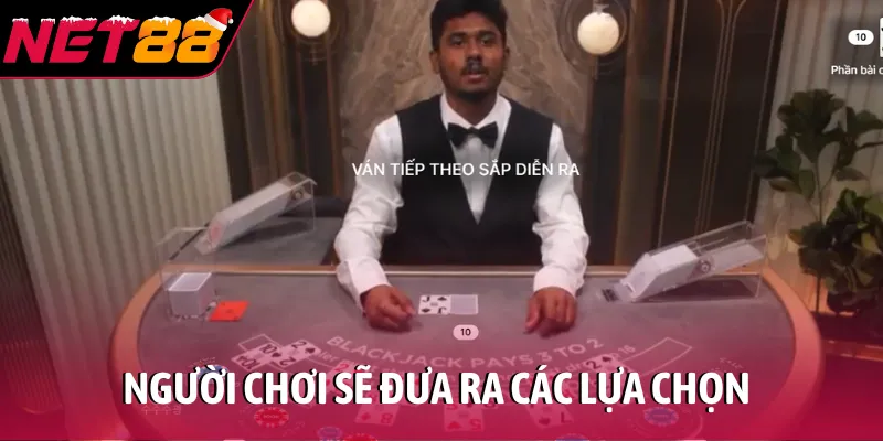 Người chơi sẽ đưa ra các lựa chọn