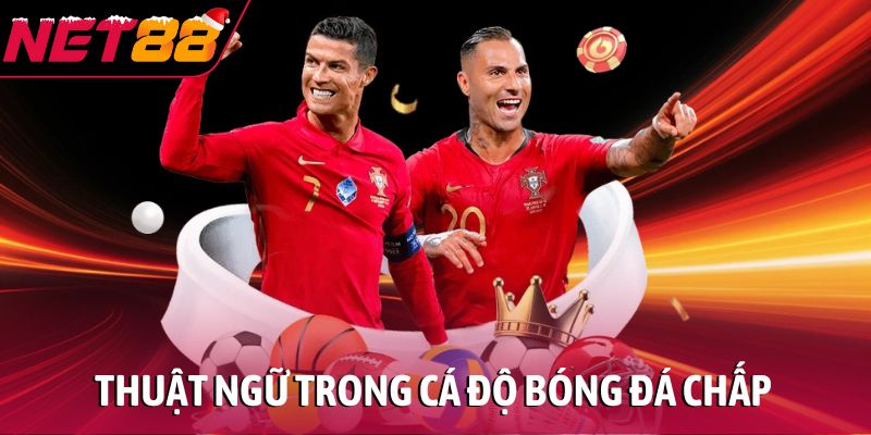 Thuật ngữ trong cá độ bóng đá chấp