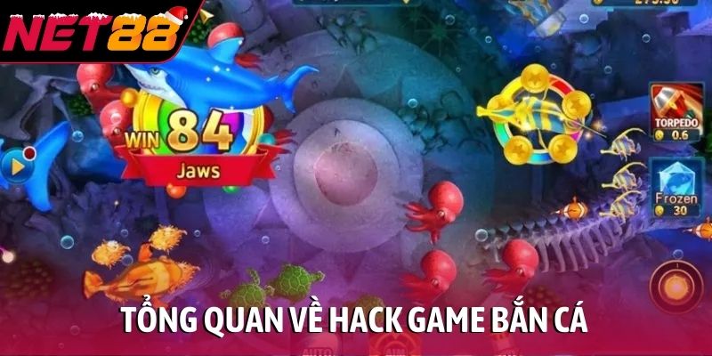 Tổng quan về hack game bắn cá
